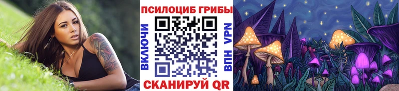 Купить где  Фрязино  Псилоцибиновые грибы Cubensis 
